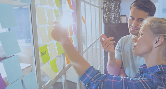 Project management