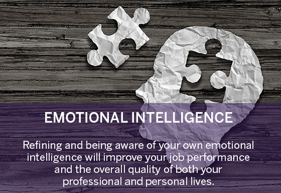 puzzle and brain emotional intelligence