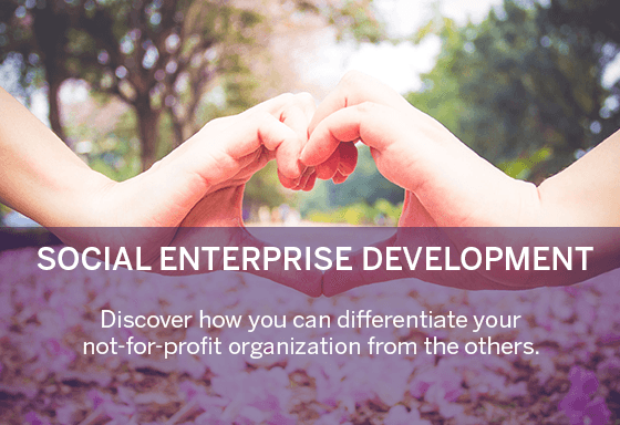 social enterprise development